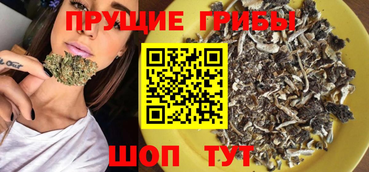 Кунгур  Псилоцибиновые грибы Psilocybine cubensis  Вход с VPN 